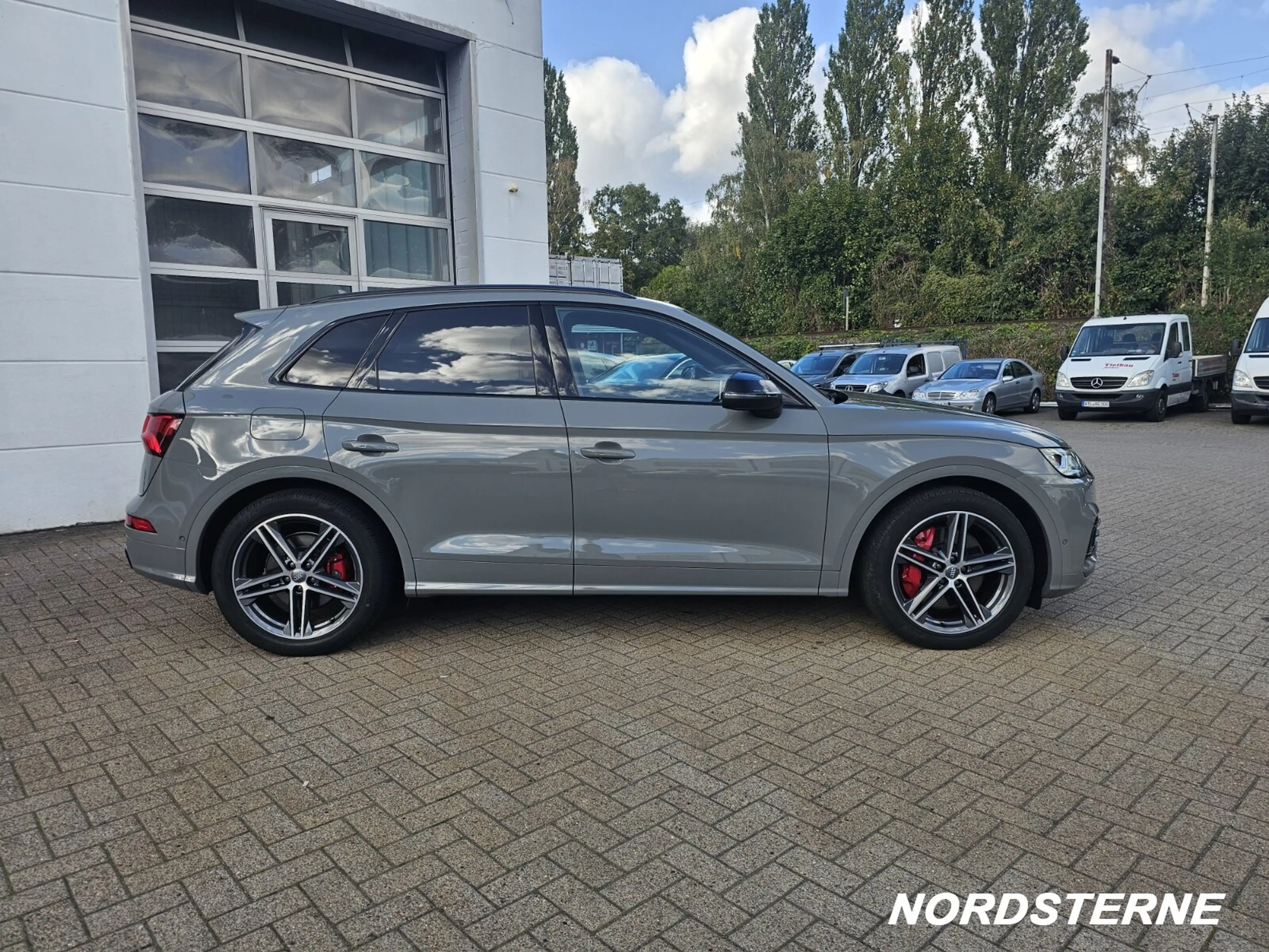 Audi SQ5 SQ5 3.0 TDI quattro (M-H) (EURO 6d-TEMP) Autom. — photo 2