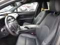 Lexus UX 250h UX Hybrid Luxury Grey - thumbnail 10