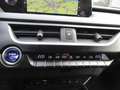 Lexus UX 250h UX Hybrid Luxury Grey - thumbnail 20