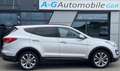 Hyundai SANTA FE Premium 4WD-Panorama-Kamera-19"LM Plateado - thumbnail 9