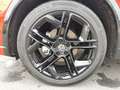 Volkswagen Tiguan R-Line 1.5 eTSI AHK STANDH PANO HUD DCC Rot - thumbnail 4