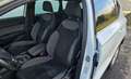 SEAT Ateca 2,0 Xcellence 4WD TDI DSG Weiß - thumbnail 29