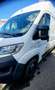 Fiat Ducato Handwerker Ducato 35 L3 H2 130 PICKERL NEU Weiß - thumbnail 5