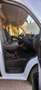 Fiat Ducato Handwerker Ducato 35 L3 H2 130 PICKERL NEU Weiß - thumbnail 19