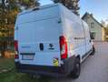 Fiat Ducato Handwerker Ducato 35 L3 H2 130 PICKERL NEU Weiß - thumbnail 13