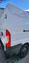 Fiat Ducato Handwerker Ducato 35 L3 H2 130 PICKERL NEU Weiß - thumbnail 9