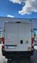Fiat Ducato Handwerker Ducato 35 L3 H2 130 PICKERL NEU Weiß - thumbnail 3
