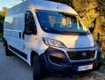 Fiat Ducato Handwerker Ducato 35 L3 H2 130 PICKERL NEU Weiß - thumbnail 12