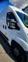 Fiat Ducato Handwerker Ducato 35 L3 H2 130 PICKERL NEU Weiß - thumbnail 4