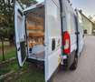 Fiat Ducato Handwerker Ducato 35 L3 H2 130 PICKERL NEU Weiß - thumbnail 17