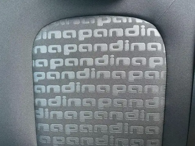 Fiat Panda view 8