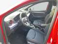 SEAT Ibiza 1.0 TSI S&S DSG FR Rouge - thumbnail 9