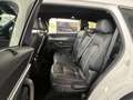 Mazda CX-80 2.5  PHEV Homura Plus 7-Sitzer Pano, Leder, Matrix Alb - thumbnail 12