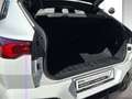BMW X2 sDrive20i M Sportpaket Pro Head-Up DAB LED SHZ Blanc - thumbnail 12