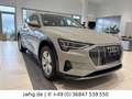 Audi e-tron Sportback 55 quattro NACHT ASSACC|LED|HUD Beige - thumbnail 9