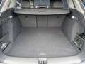 Audi Q6 e-tron SUV e-tron 185 kW Matrix 360 4xSHZ ACC AHK LM Blau - thumbnail 14