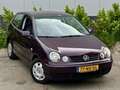 Volkswagen Polo 1.4-16V |Clima |CruiseC |Nieuwe APK |NAP Rood - thumbnail 9
