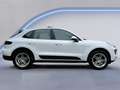 Porsche Macan 2.0 /Keyless/Stoel-Stuur en achterbank verw./Bi-Xe Wit - thumbnail 6