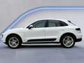 Porsche Macan 2.0 /Keyless/Stoel-Stuur en achterbank verw./Bi-Xe Wit - thumbnail 2