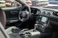 Ford Mustang 3,7 GT 500 SHELBY ANDROID LED TOP Rood - thumbnail 19