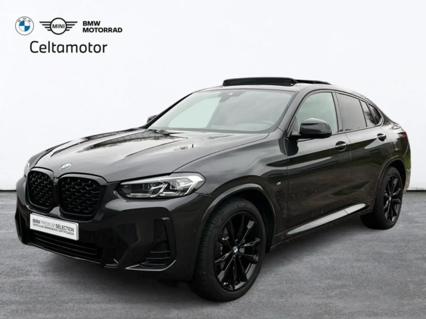 BMW X4 xDrive 20dA xLine Gris - 1