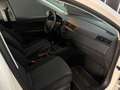SEAT Ibiza Reference Weiß - thumbnail 23