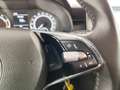 Skoda Kamiq Kamiq 1.0 TSI Ambition Blu/Azzurro - thumbnail 13