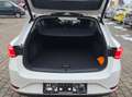 SEAT Leon VOLL-LED/VIRTUELL/NAV/KAMERA/SPORTSITZE/BEATS/ACC* Weiß - thumbnail 17
