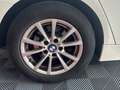 BMW 116 SERIE TOURING F31 Lounge 316d 116 ch ~ Chaîne de distribution OK ~ Radar AV/AR ~ Feux Automatiques Blanc - thumbnail 33