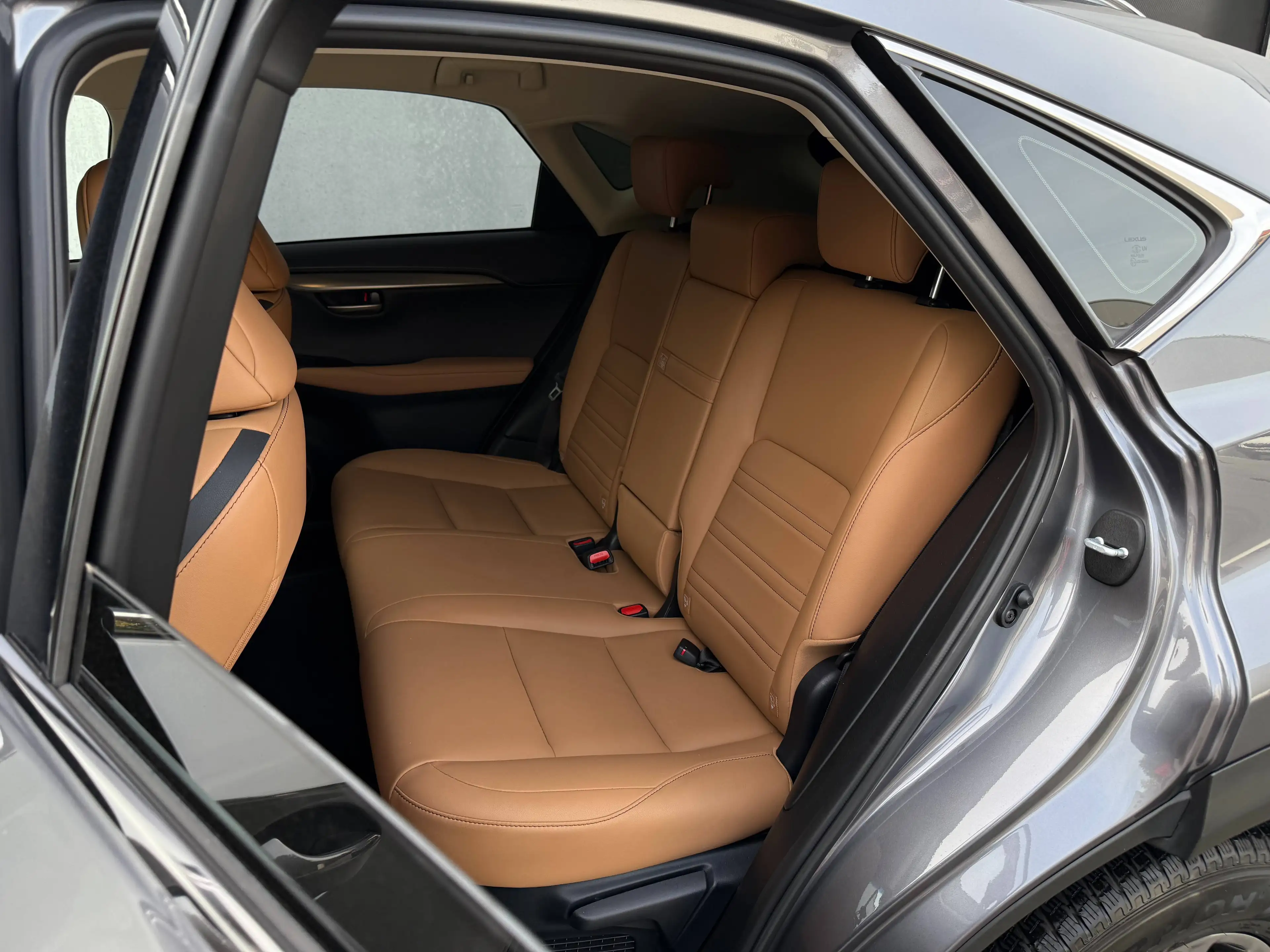 Lexus NX 300h NX 300h Luxury Hybrid | Camera | Navi | Leder — photo 9