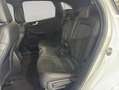 Ford Kuga 2.5 Duratec PHEV ST-LINE X*LED*KAMERA* Weiß - thumbnail 19