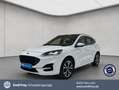 Ford Kuga 2.5 Duratec PHEV ST-LINE X*LED*KAMERA* Weiß - thumbnail 1