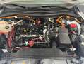Ford Kuga 2.5 Duratec PHEV ST-LINE X*LED*KAMERA* Weiß - thumbnail 23