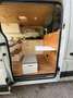 Nissan NV400 NV400 F30.13 L1H1 3,0t 2,3 dCi 125 Comfort Comfort Weiß - thumbnail 20
