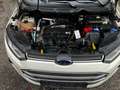 Ford EcoSport 1,5i Trend Scheckh. unffrei 8-fach NR Weiß - thumbnail 15