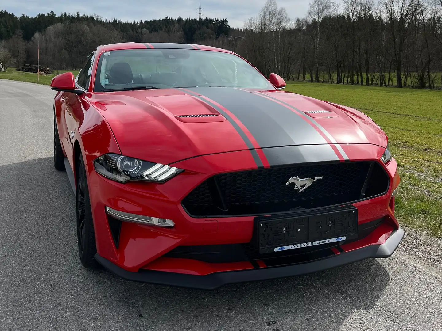 Ford Mustang Mustang 5,0 Ti-VCT V8 GT Aut. GT Rot - 2