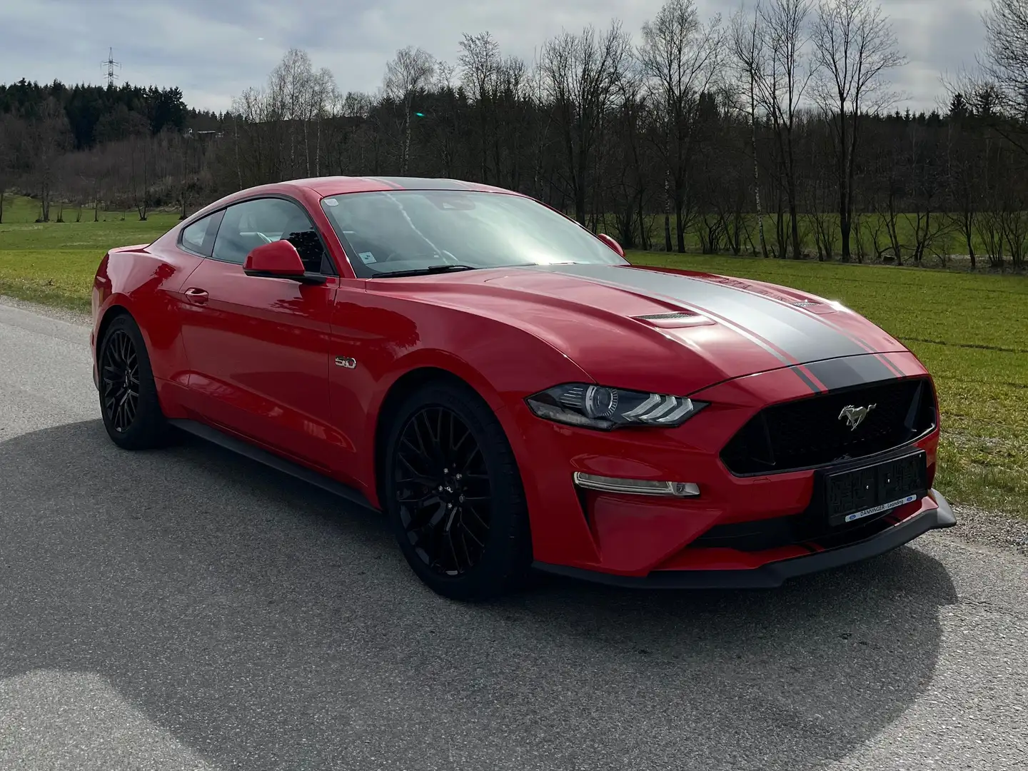 Ford Mustang Mustang 5,0 Ti-VCT V8 GT Aut. GT Rot - 1