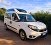 Fiat Doblo Doblò EURO6 TETTO ALTO TRASPORTO DISABILI Weiß - thumbnail 4