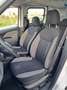 Fiat Doblo Doblò EURO6 TETTO ALTO TRASPORTO DISABILI Weiß - thumbnail 10