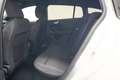 Ford Focus Wagon 1.0 EcoBoost 125pk ST-Line Business Gris - thumbnail 12