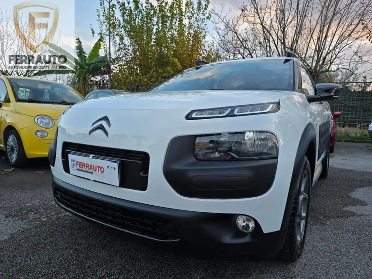 Citroen C4 Cactus 1.2 PureTech 82 Feel Edition Blanc - 2
