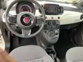 Fiat 500 500C 1.0 Mild Hybrid Lounge Klima (BDK) Weiß - thumbnail 9