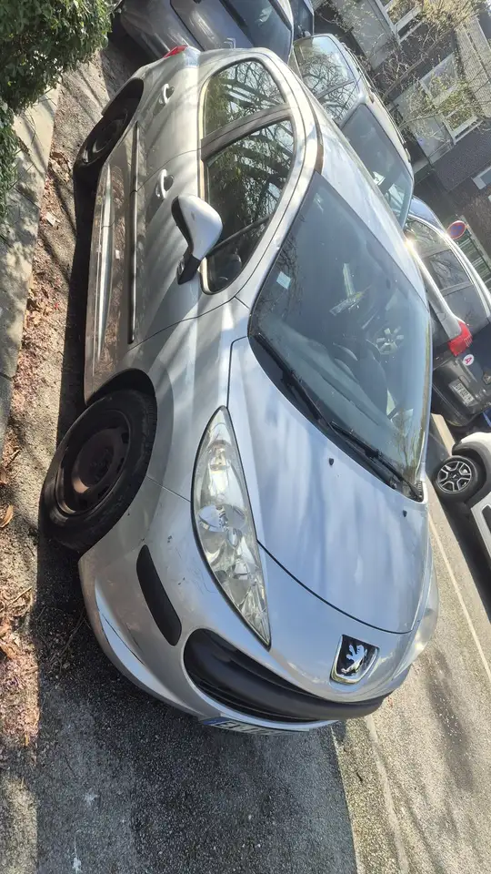 Peugeot 207 1.4e 75ch ExÃ©cutive