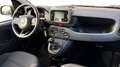 Fiat Panda III 2024 1.0 FireFly Hybrid 70cv S&S 5p.ti Rosso - thumbnail 12