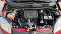 Fiat Panda III 2024 1.0 FireFly Hybrid 70cv S&S 5p.ti Rosso - thumbnail 18