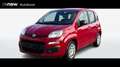 Fiat Panda III 2024 1.0 FireFly Hybrid 70cv S&S 5p.ti Rosso - thumbnail 1