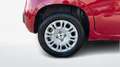 Fiat Panda III 2024 1.0 FireFly Hybrid 70cv S&S 5p.ti Rosso - thumbnail 16