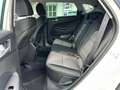 Hyundai TUCSON 1.6 crdi Exellence 2wd 115cv Bianco - thumbnail 10