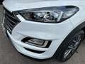 Hyundai TUCSON 1.6 crdi Exellence 2wd 115cv Weiß - thumbnail 28