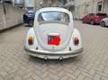 Volkswagen Maggiolino Beige - thumbnail 14